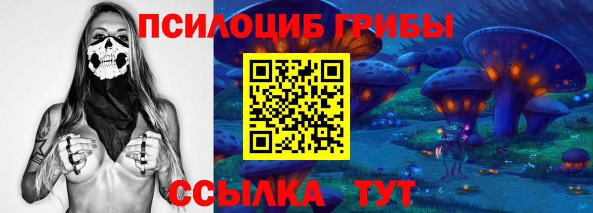 Галлюциногенные грибы прущие грибы Борзя