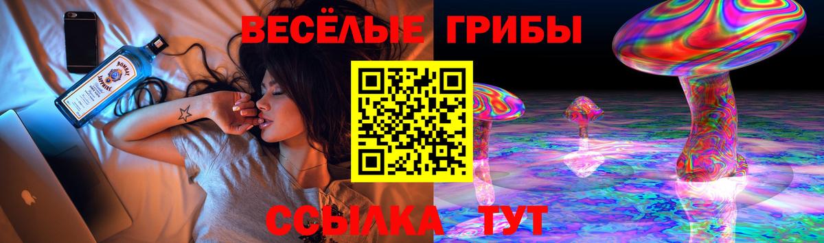 Борзя  Псилоцибиновые грибы ЛСД  Вход с VPN 